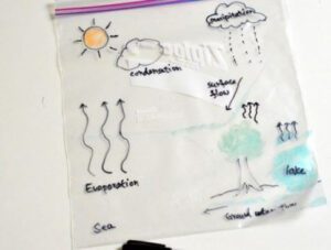 WATER CYCLE IN A BAG