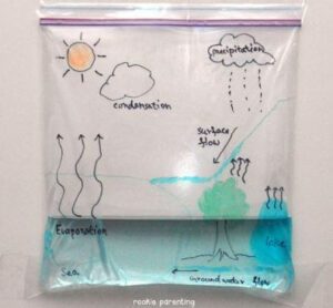WATER CYCLE IN A BAG