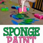 Spongepaintpin